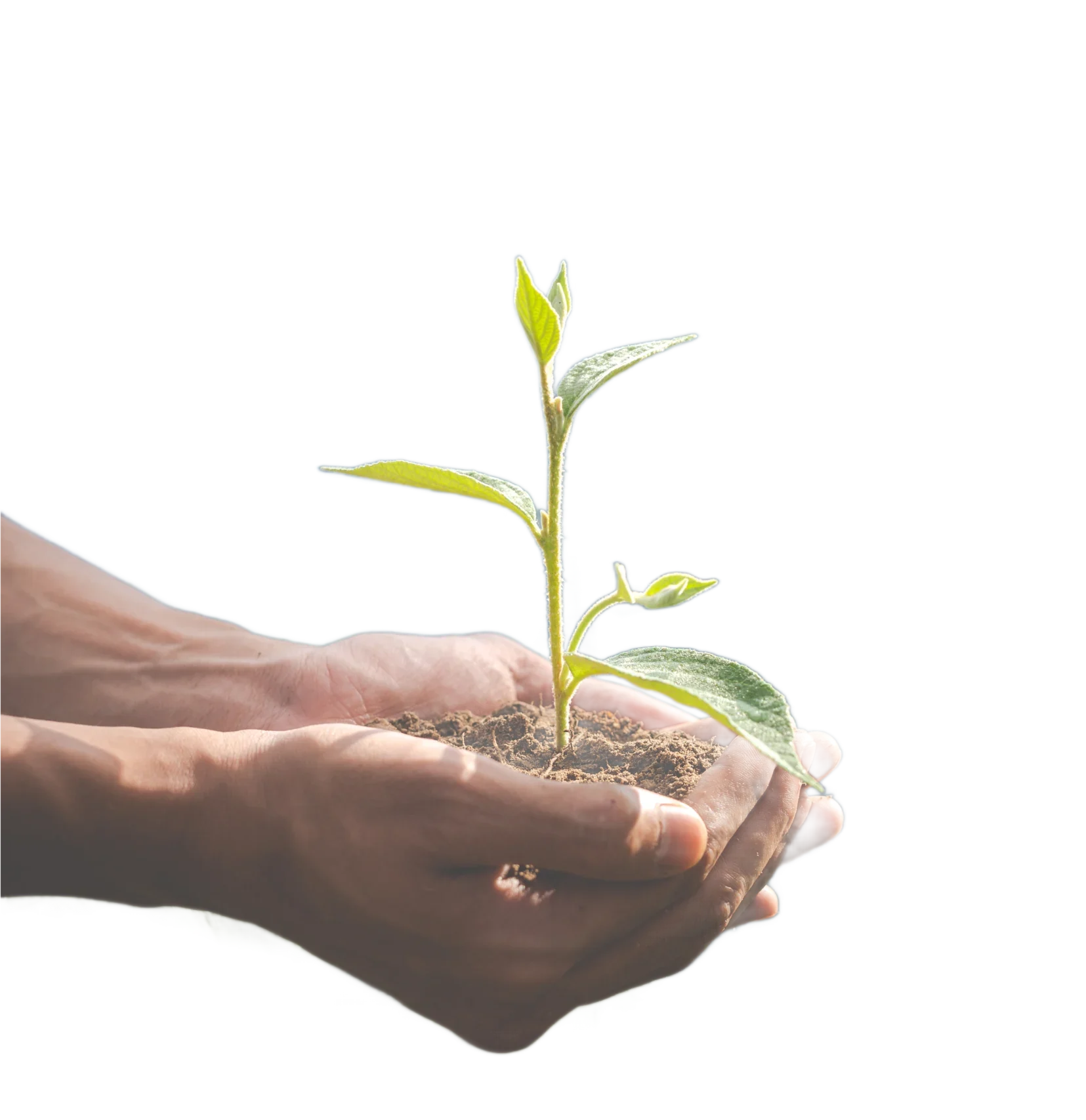 Eco